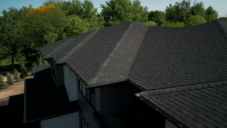 Best Asphalt Shingles Roofing  in Manistee, MI